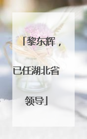 黎东辉，已任湖北省领导