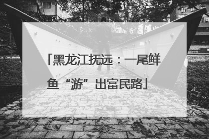 黑龙江抚远：一尾鲜鱼“游”出富民路