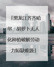 黑龙江齐齐哈尔：胡萝卜无人化种植破解劳动力短缺难题
