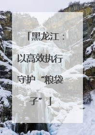 黑龙江：以高效执行守护“粮袋子”