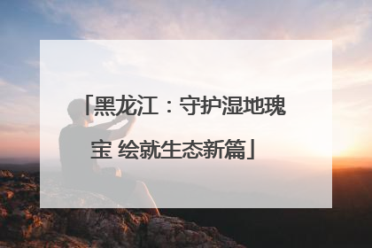 黑龙江：守护湿地瑰宝 绘就生态新篇