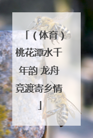 （体育）桃花潭水千年韵 龙舟竞渡寄乡情