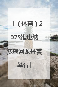 （体育）2025维也纳多瑙河龙舟赛举行