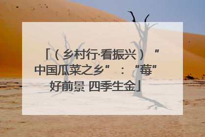 （乡村行·看振兴）“中国瓜菜之乡”：“莓”好前景 四季生金
