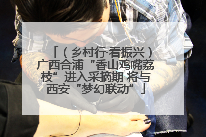 （乡村行·看振兴）广西合浦“香山鸡嘴荔枝”进入采摘期 将与西安“梦幻联动”
