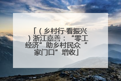（乡村行·看振兴）浙江嘉善：“零工经济”助乡村民众“家门口”增收