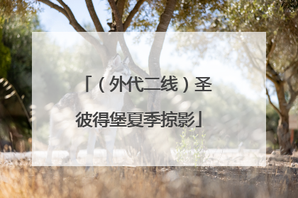 （外代二线）圣彼得堡夏季掠影