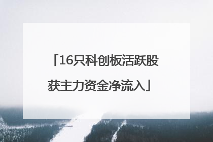 16只科创板活跃股获主力资金净流入