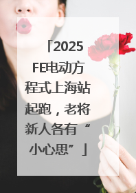 2025FE电动方程式上海站起跑，老将新人各有“小心思”