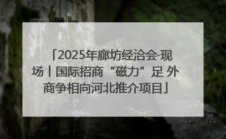 2025年廊坊经洽会·现场丨国际招商“磁力”足 外商争相向河北推介项目