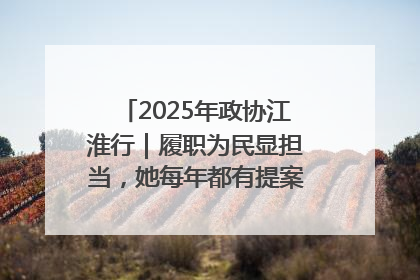 2025年政协江淮行｜履职为民显担当，她每年都有提案被评为“优秀”