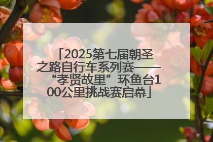 2025第七届朝圣之路自行车系列赛——“孝贤故里”环鱼台100公里挑战赛启幕