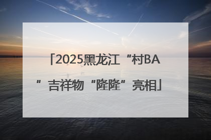 2025黑龙江“村BA”吉祥物“隆隆”亮相