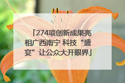 274项创新成果亮相广西南宁 科技“盛宴”让公众大开眼界