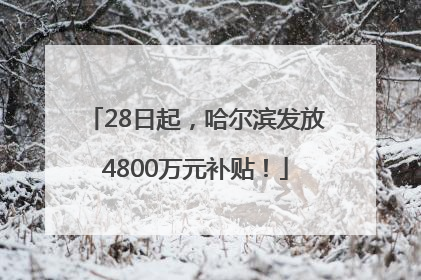 28日起，哈尔滨发放4800万元补贴！