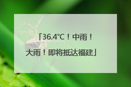 36.4℃！中雨！大雨！即将抵达福建