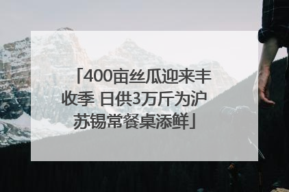 400亩丝瓜迎来丰收季 日供3万斤为沪苏锡常餐桌添鲜
