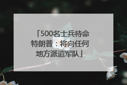 500名士兵待命 特朗普：将向任何地方派遣军队