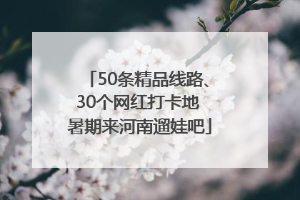 50条精品线路、30个网红打卡地 暑期来河南遛娃吧