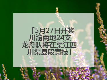 5月27日开桨 川渝两地24支龙舟队将在渠江四川渠县段竞技