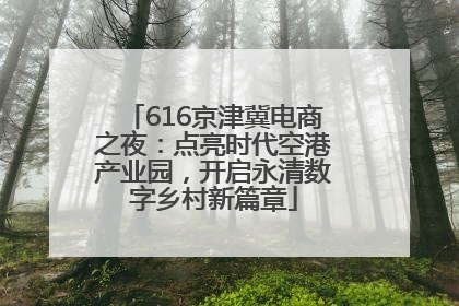 616京津冀电商之夜：点亮时代空港产业园，开启永清数字乡村新篇章