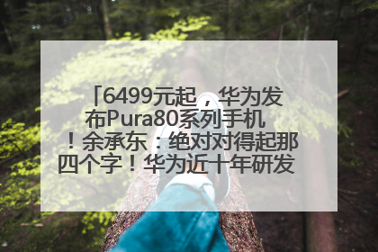 6499元起，华为发布Pura80系列手机！余承东：绝对对得起那四个字！华为近十年研发投入12490亿元