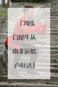 70头白犀牛从南非运抵卢旺达