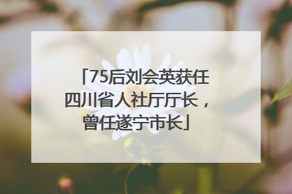 75后刘会英获任四川省人社厅厅长，曾任遂宁市长