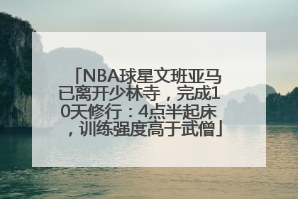 NBA球星文班亚马已离开少林寺，完成10天修行：4点半起床，训练强度高于武僧