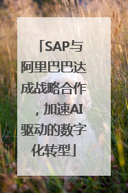 SAP与阿里巴巴达成战略合作，加速AI驱动的数字化转型